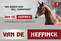 Van De Heffinck